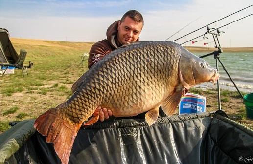 Jurnalul lui gor965: Teoria calitatii!